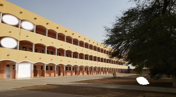 Lycée Ben M'hidi Fotomontáž