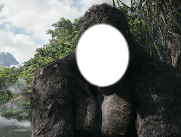 King Kong Photo frame effect