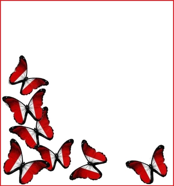 mariposas bicolor, rojo y blanco. Fotomontaż