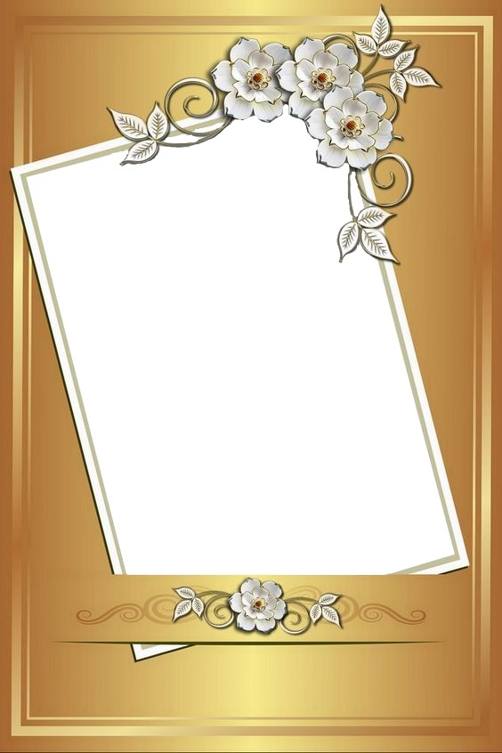 marco dorado y flores blancas. Fotomontagem