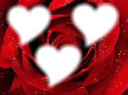 coeur de rose Photomontage