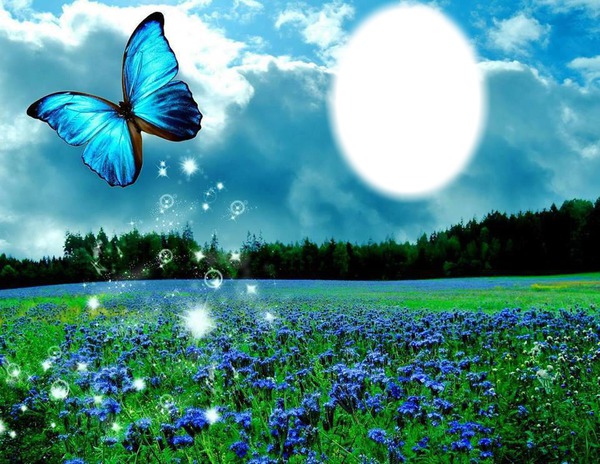 papillons bleu Photomontage