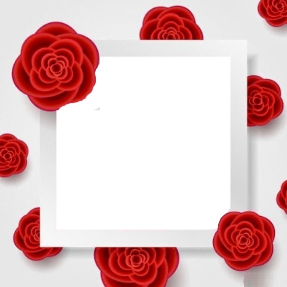 marco blanco y flores rojas. Fotomontáž