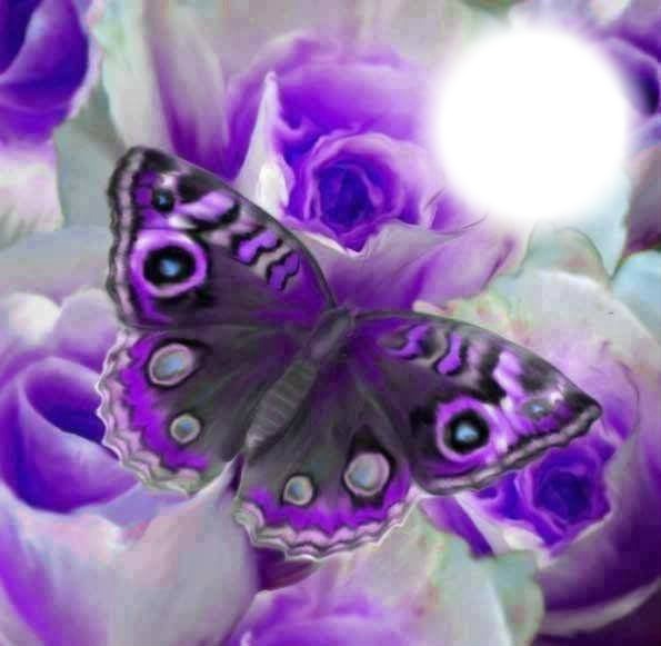 precious butterfly bb Fotomontaža