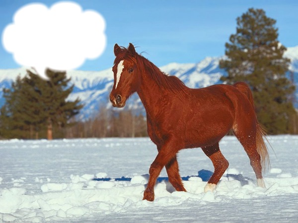 Le cheval dans la neige フォトモンタージュ
