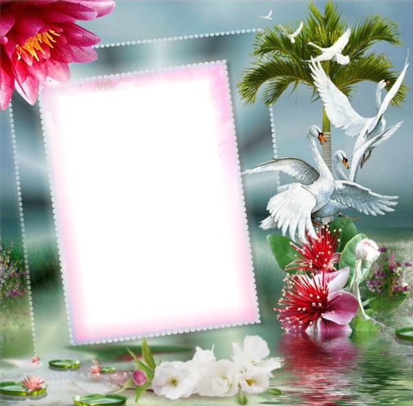 Cadre fleurs Photo frame effect