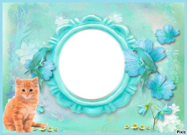 les perroquets Photo frame effect