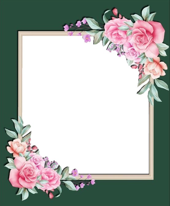 marco verde y rosas rosadas2 Fotomontáž