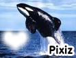 orque avec coeur Montaje fotografico