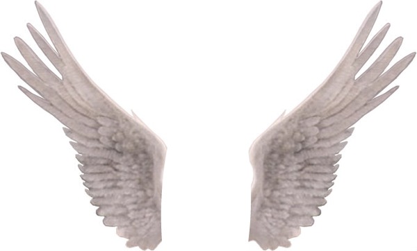 les ailes du paradis Fotomontage