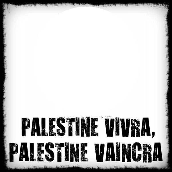 Palestine Fotomontasje