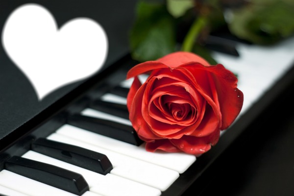 rose piano Photo frame effect