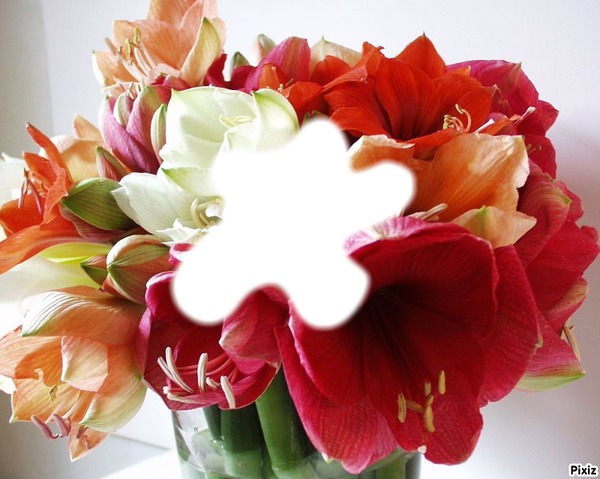 *bouquet/nonette* Photo frame effect