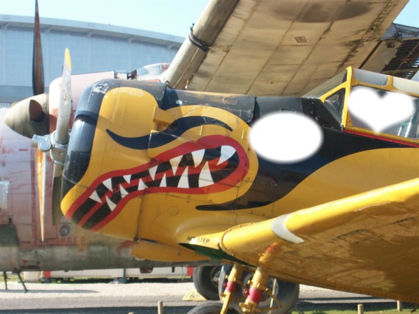 avion ailes anciennes Fotomontažas