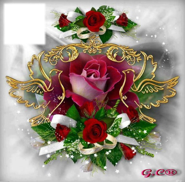 Roses & Colombes dorées Fotomontasje