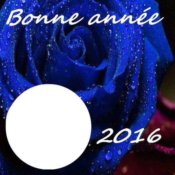 BONNE ANNEE 2016 Photo frame effect