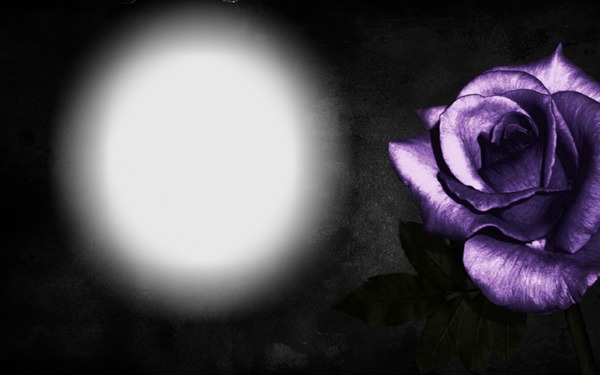violet et noir Фотомонтажа