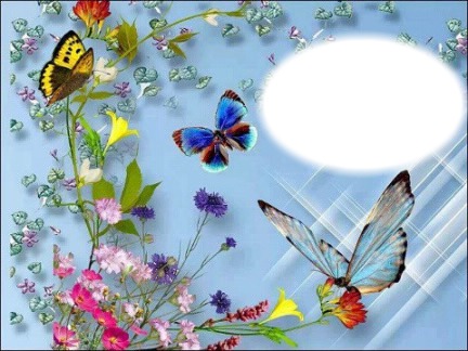 papillons Photomontage