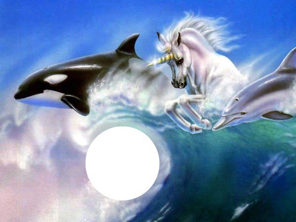 orca unicorn dolphin large Photomontage