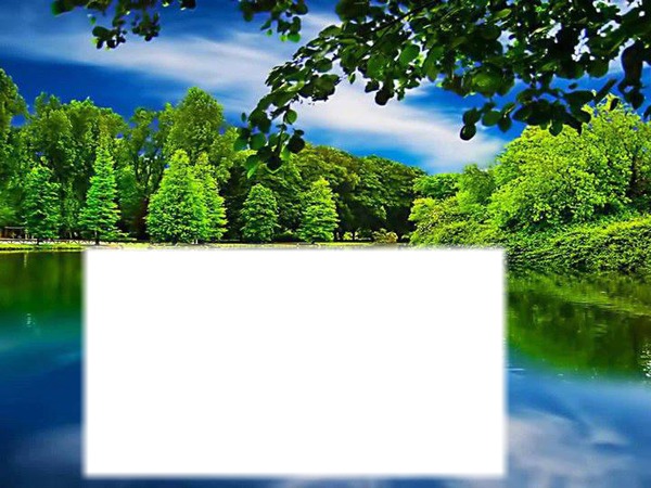 lago y bosque Montaje fotografico
