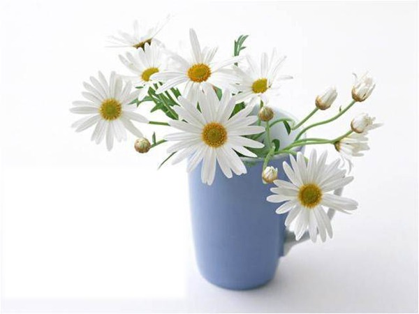 vase fleur Photomontage