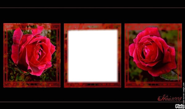 <cadres roses rouge x3> Montage photo