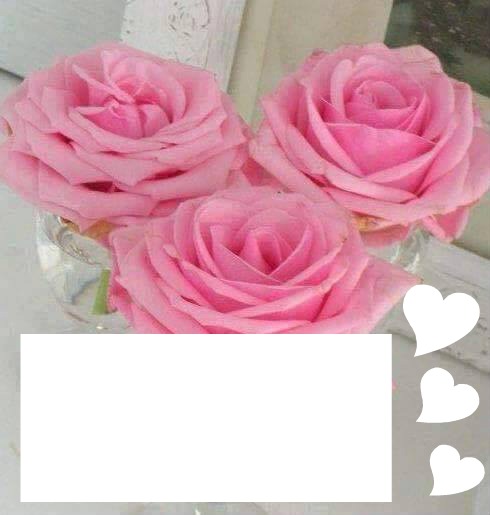 Trandafiri roz! ( pink roses) Fotomontažas