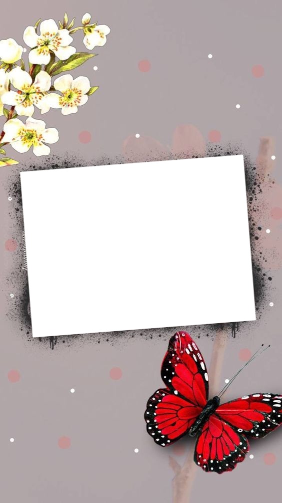 marco mariposa y flores. Fotomontaža