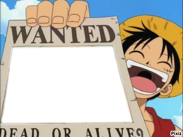 wanted one piece Montage photo