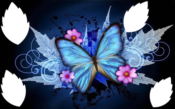 papillon avec 3 fleurs 4 photos フォトモンタージュ