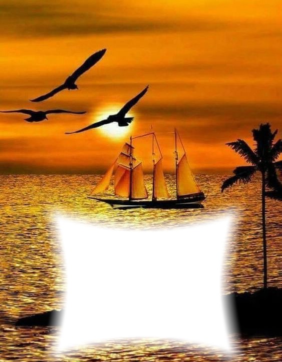 Bateau-oiseaux-coucher de soleil Фотомонтажа