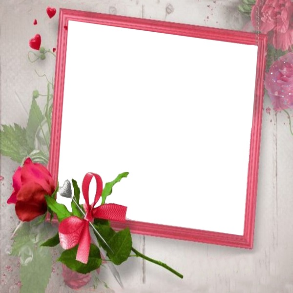 marco y rosa fucsia. Fotomontage