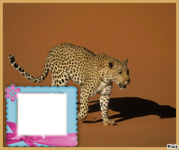 léopard Fotomontage