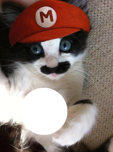 Коте Супер Марио Photo frame effect