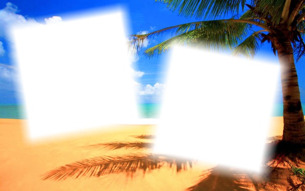 palm beach Photo frame effect