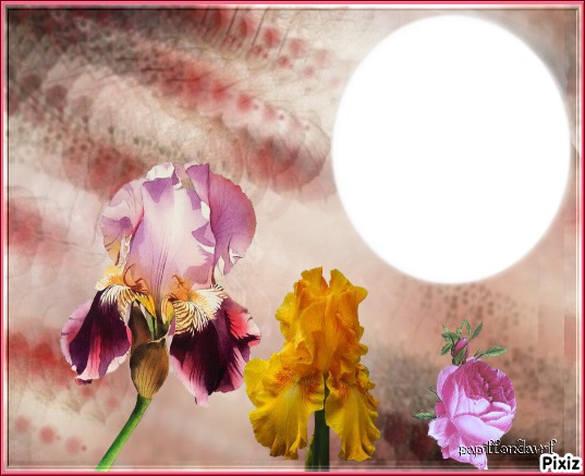 fleurs iris Фотомонтаж
