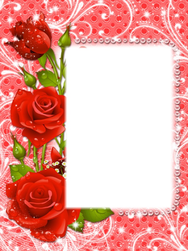 cadre fleur rose Montage photo