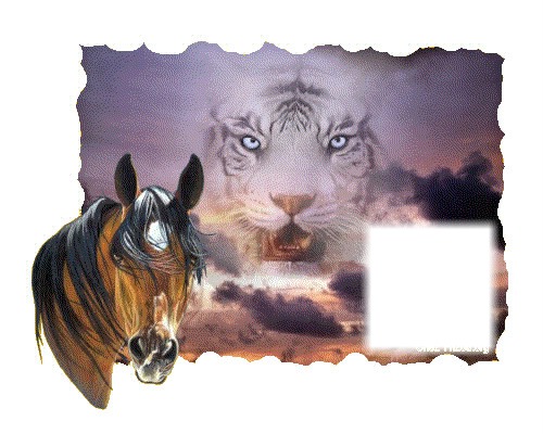 tigre & cheval Fotomontāža