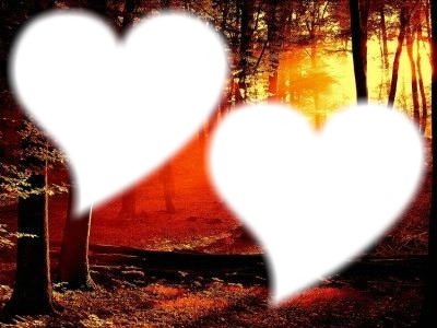 corazones en el bosque Fotomontage