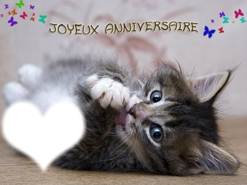 joyeux anniversaire chat Photo frame effect