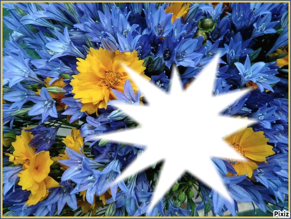 *Trés Fleurs Bleue* Photo frame effect