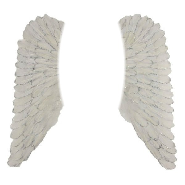 ailes d'ange Photomontage