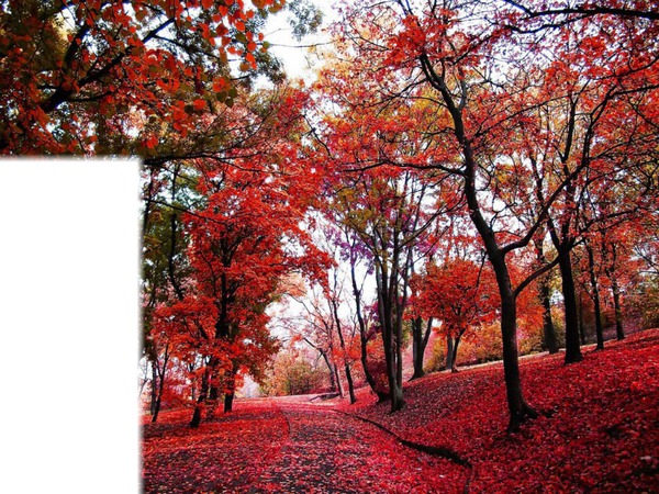 couleur d'automne Fotómontázs