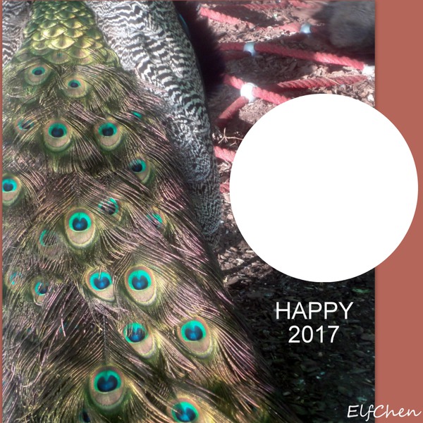 HAPPY 2017 Fotomontaža
