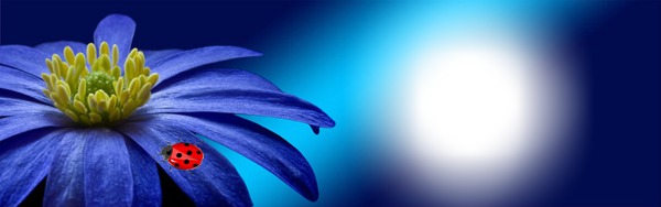 Fleurs bleue Valokuvamontaasi