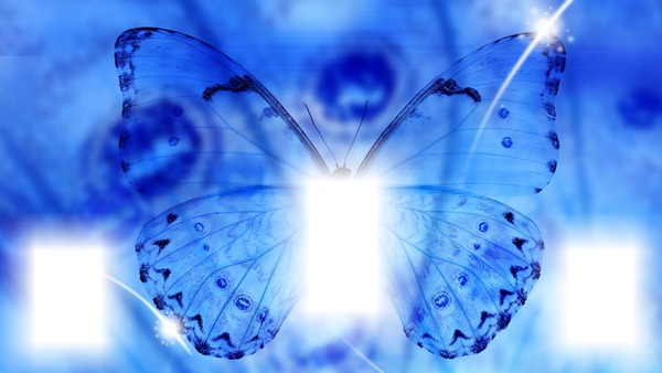 mariposa azul Montaje fotografico