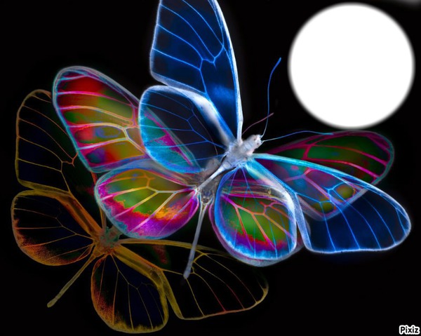 papillons néon Photomontage