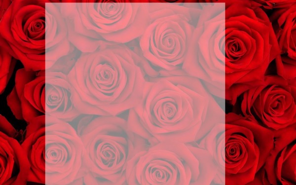 Rose rouge fondu Fotomontage