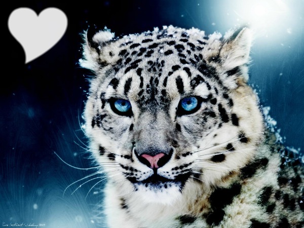 Tigre Blanc Montaje fotografico