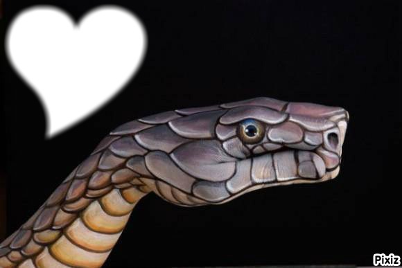 J'aime les serpents Photomontage